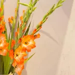 Apartment Stylish Centre - Walk To Station - Long Welcome Leeds (West Yorkshire)