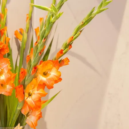 Apartman Stylish Centre - Walk To Station - Long Welcome Leeds