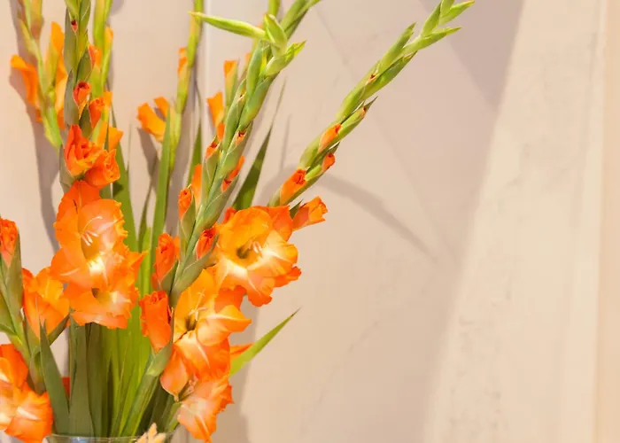 Apartment Stylish Centre - Walk To Station - Long Welcome Leeds (West Yorkshire)